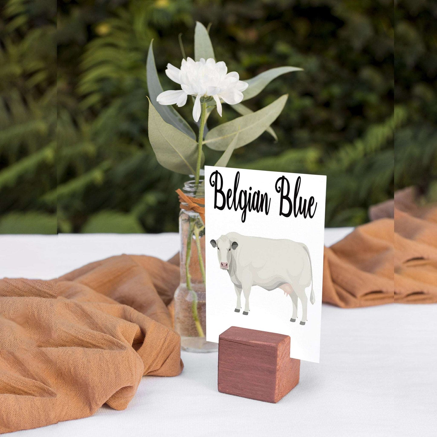 Cow Breeds Table Cards