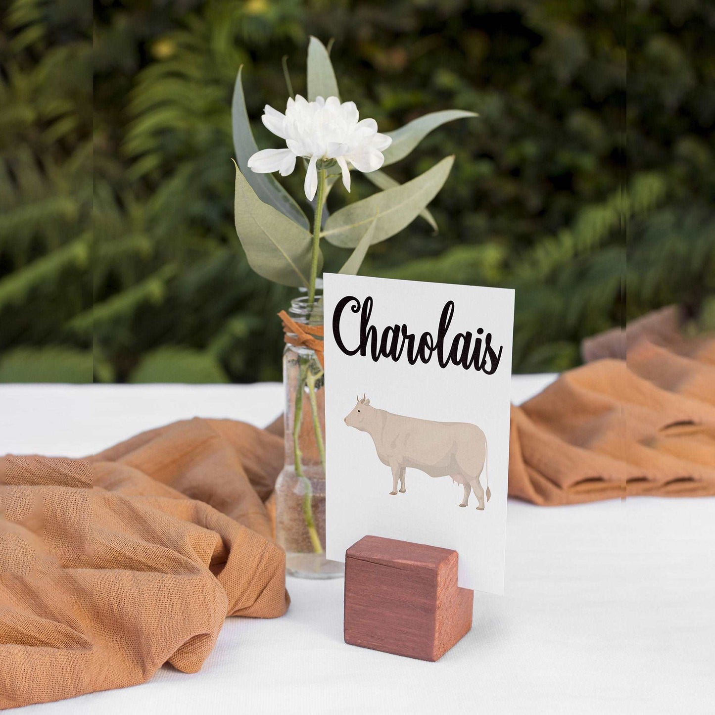 Cow Breeds Table Cards