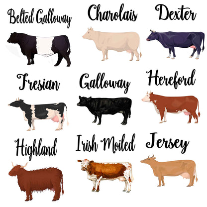 Cow Breeds Place Cards