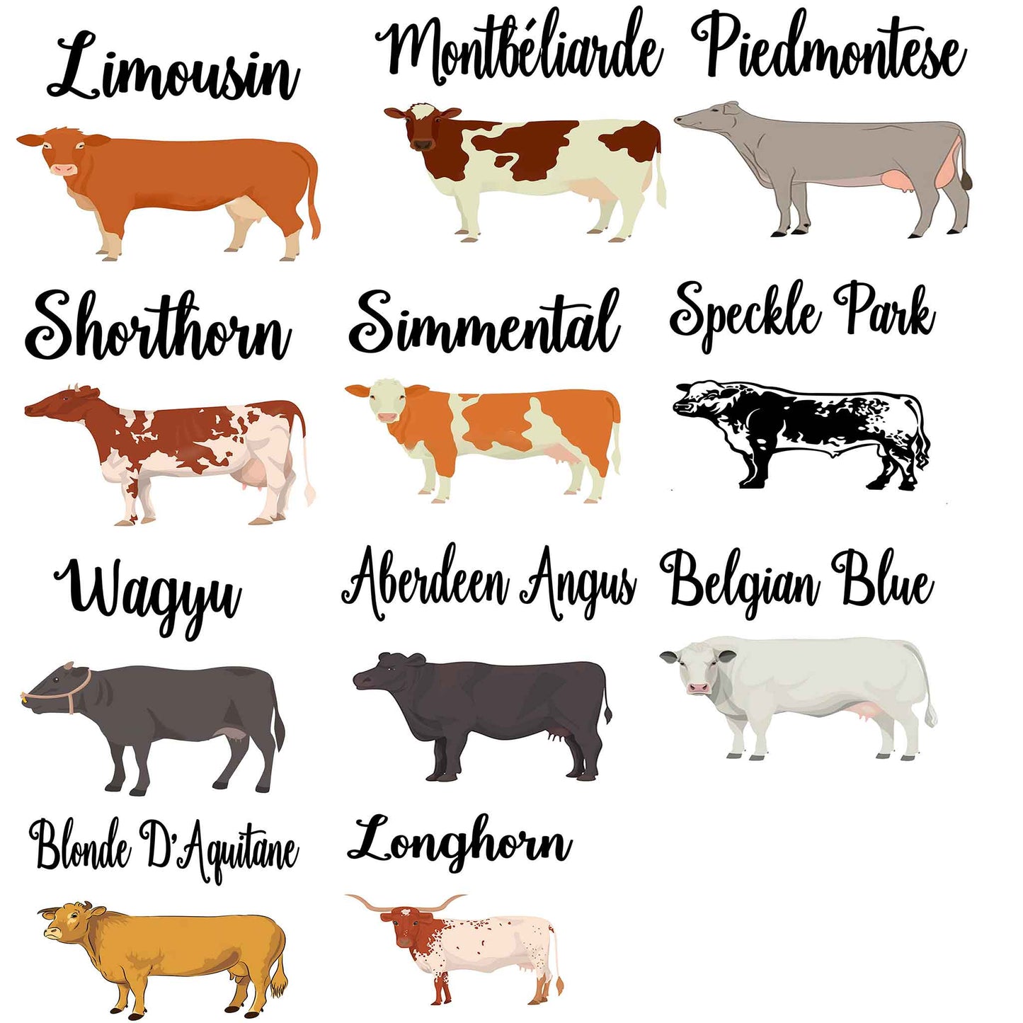 Cow Breeds Place Cards