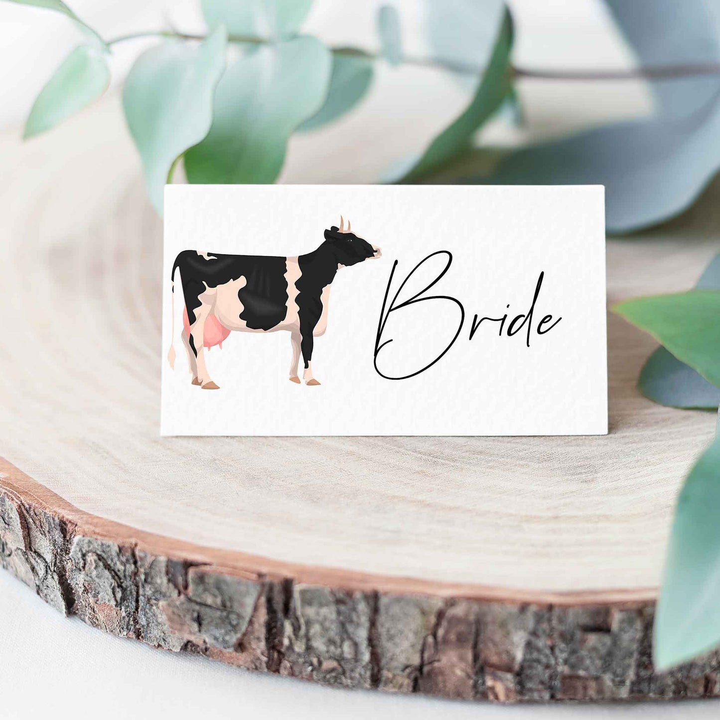 Cow Breeds Place Cards