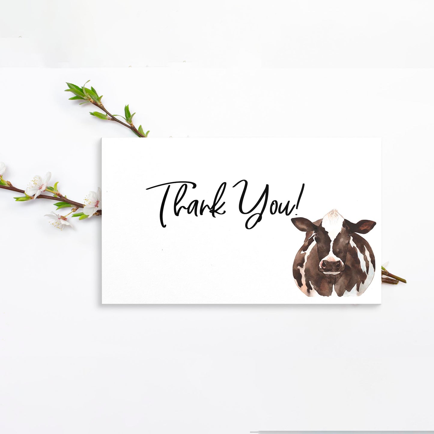 Dairy Cow Thank you Cards