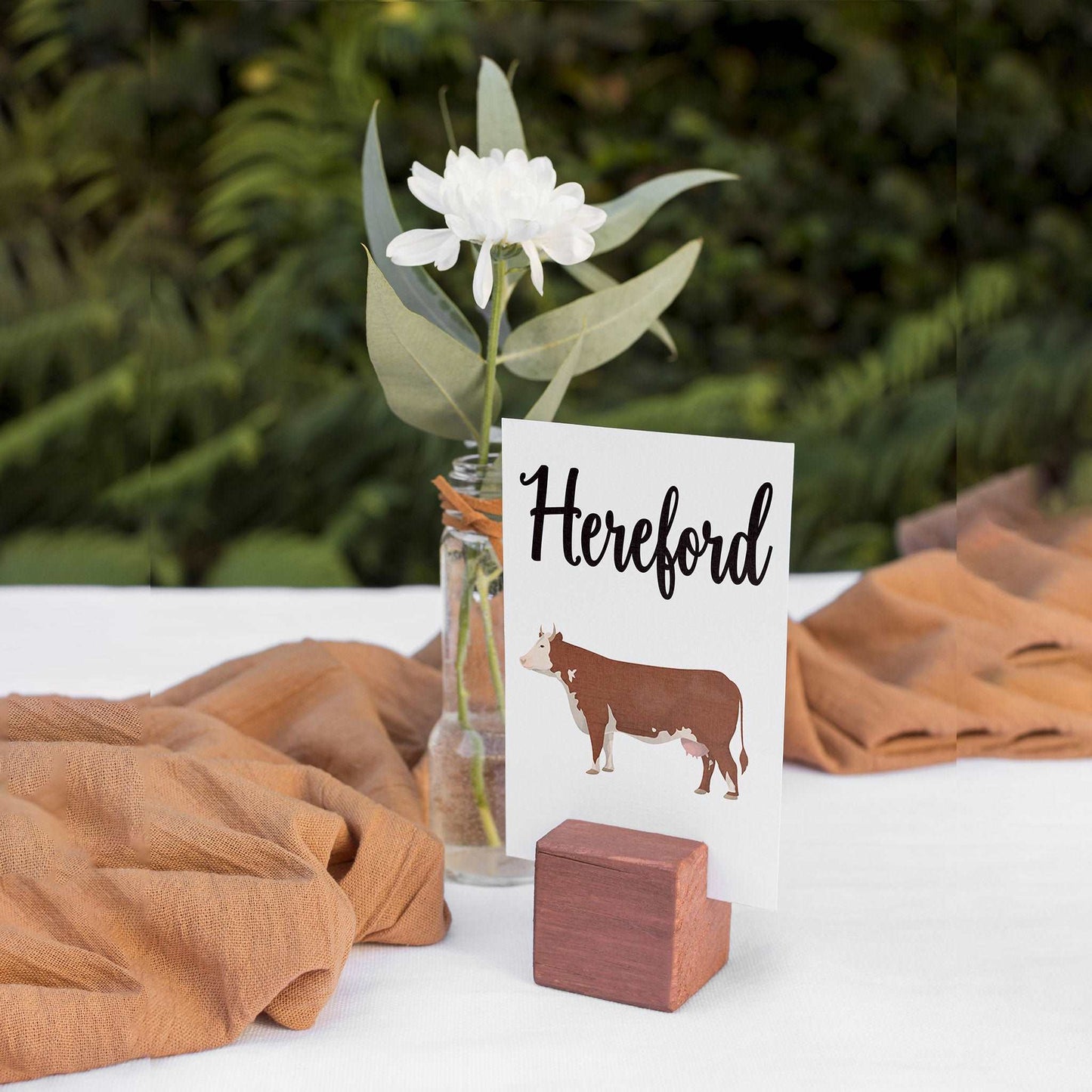 Cow Breeds Table Cards