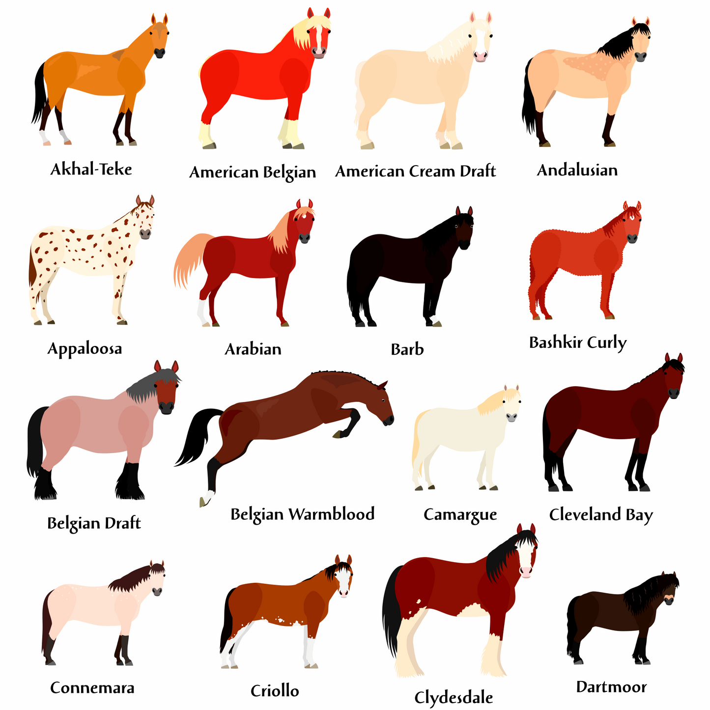 Horse Breeds Table Plan Cards