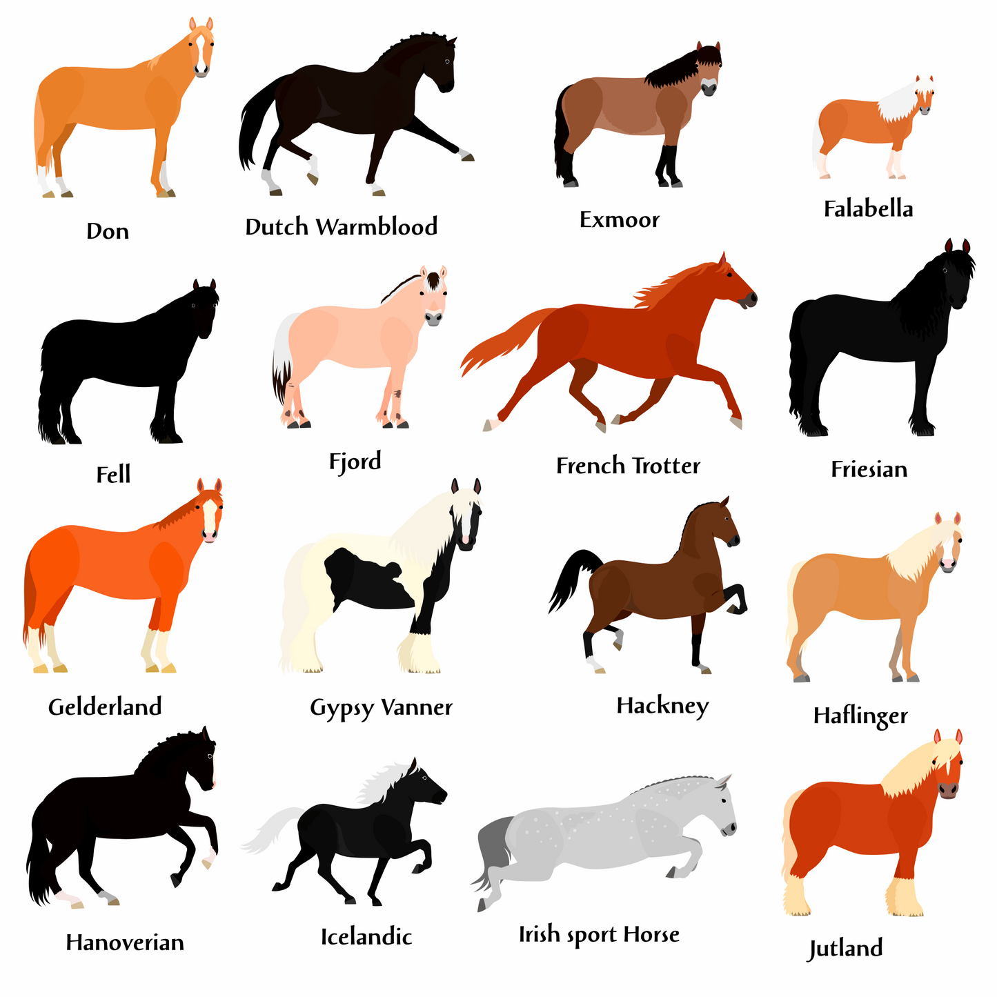 Horse Breeds Place Cards