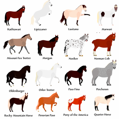 Horse Breeds Place Cards