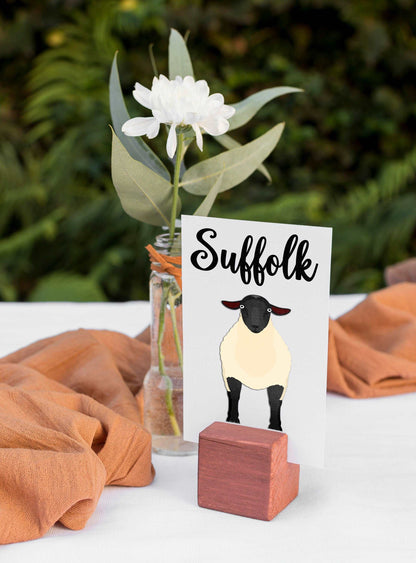 Sheep Breed Table Cards