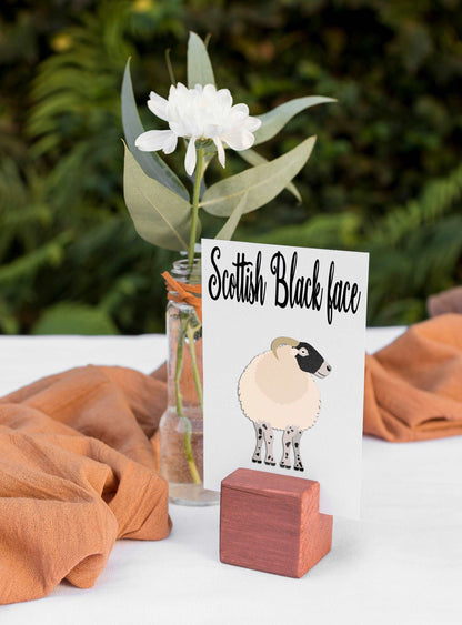 Sheep Breed Table Cards