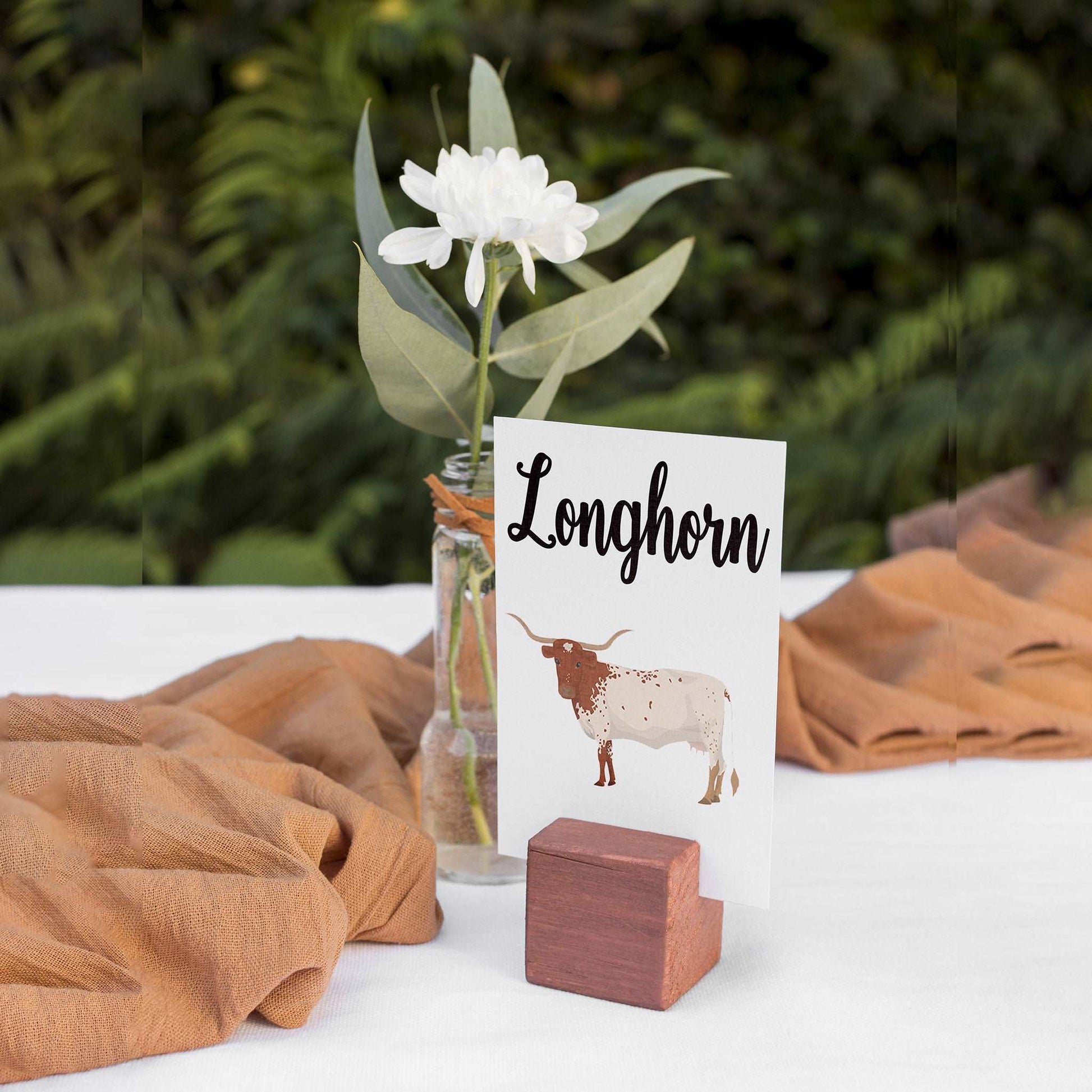 Cow Breeds Table Cards