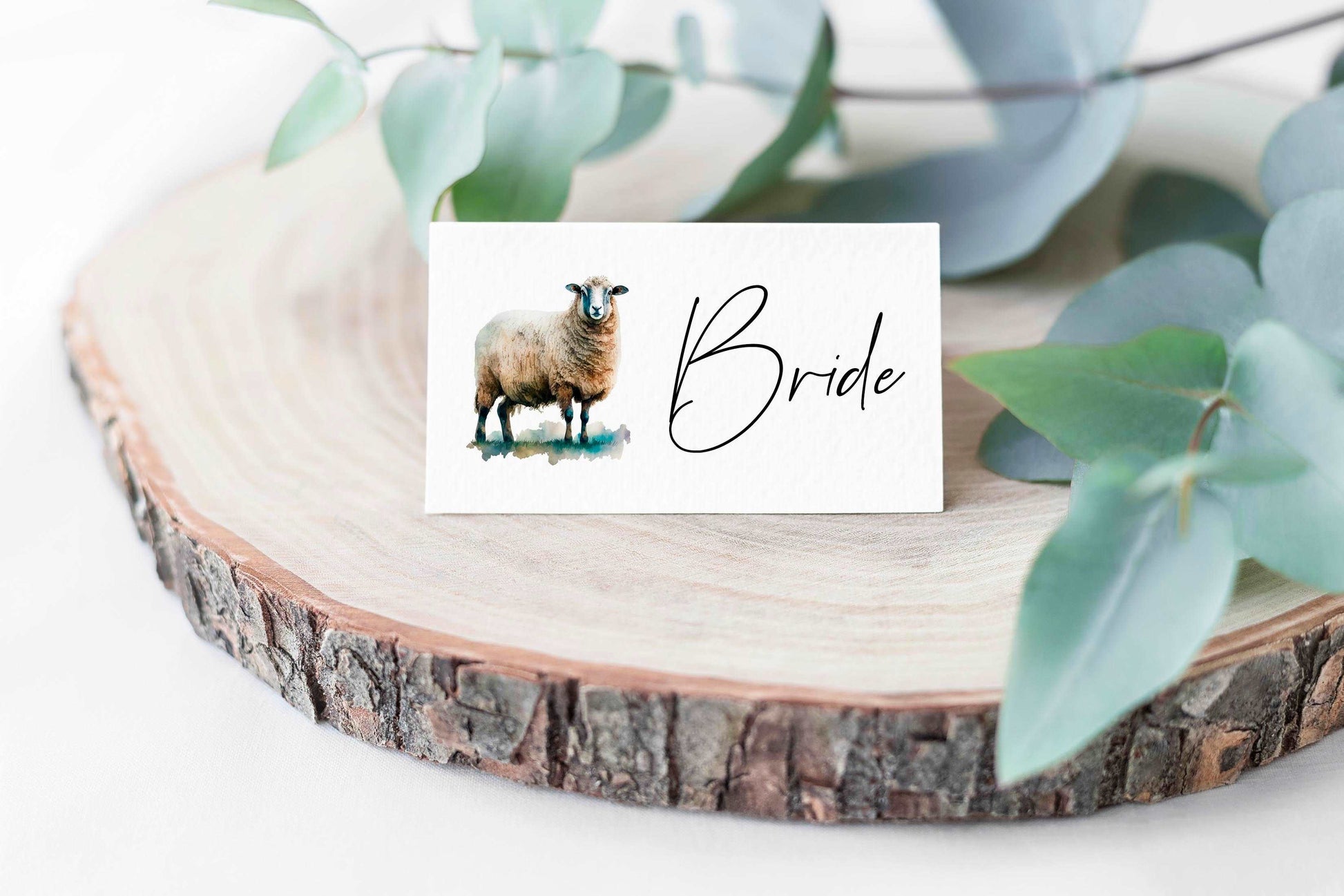 Sheep Place Cards