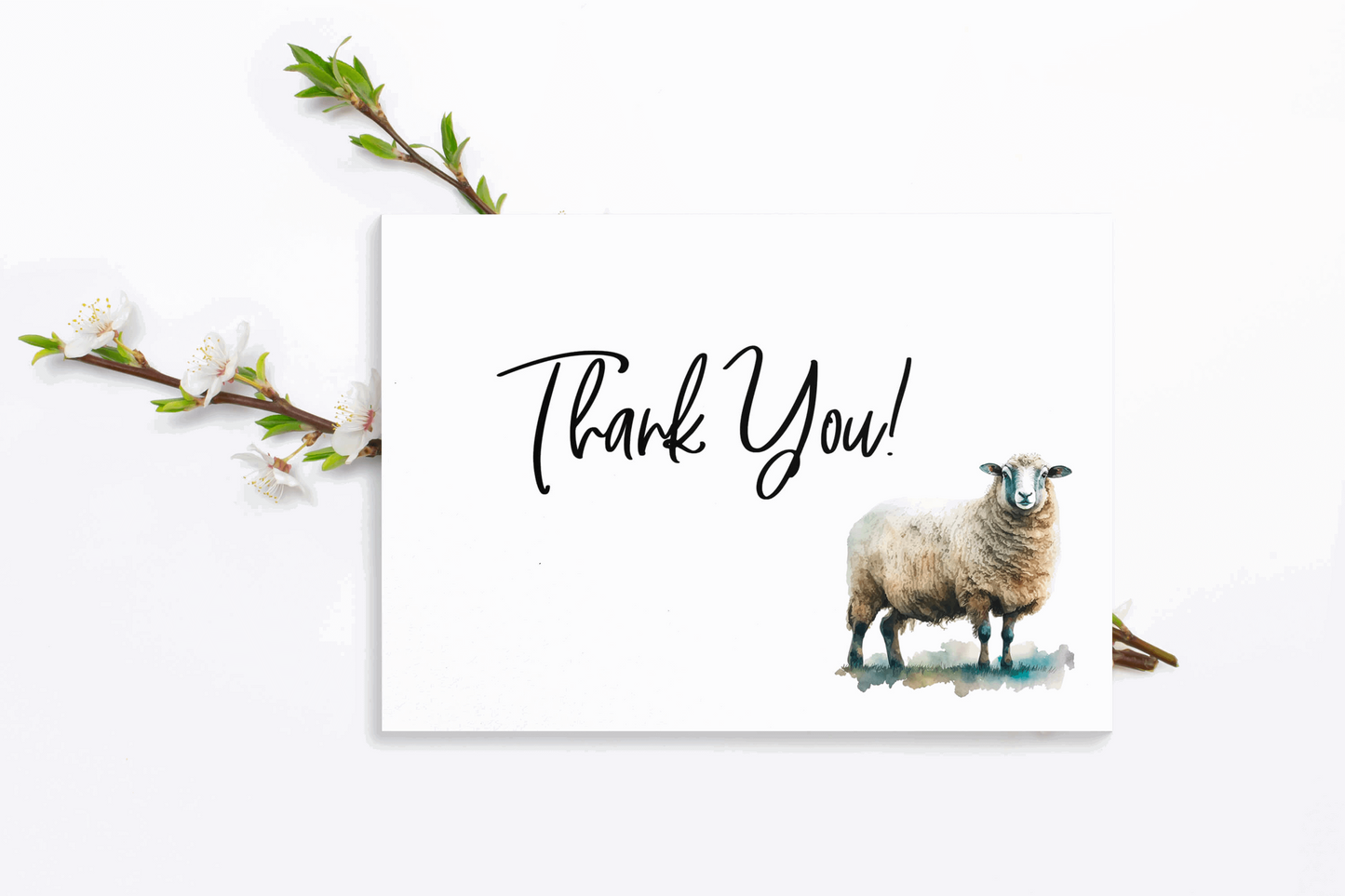 Sheep Thank you card